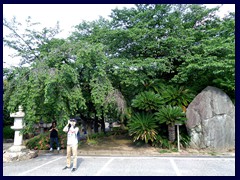 Zojoji Temple 10